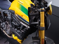 Ducati MONSTER SENNA 