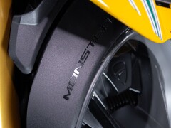 Ducati DUCATI MONSTER SENNA 