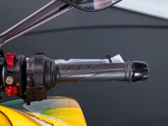 Ducati DUCATI MONSTER SENNA 