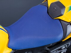 Ducati DUCATI MONSTER SENNA 