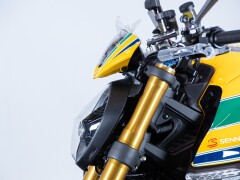 Ducati DUCATI MONSTER SENNA 