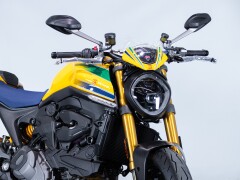 Ducati DUCATI MONSTER SENNA 