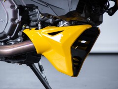 Ducati DUCATI MONSTER SENNA 