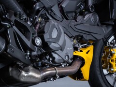 Ducati DUCATI MONSTER SENNA 