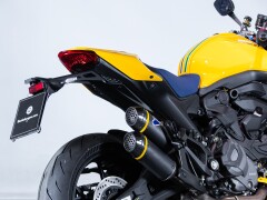 Ducati DUCATI MONSTER SENNA 