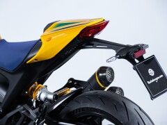 Ducati DUCATI MONSTER SENNA 