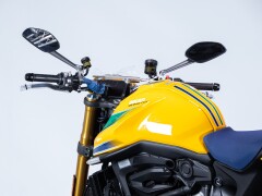 Ducati DUCATI MONSTER SENNA 