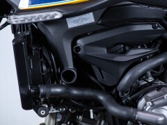 Ducati DUCATI MONSTER SENNA 
