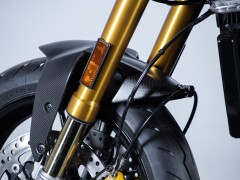 Ducati DUCATI MONSTER SENNA 