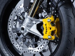 Ducati DUCATI MONSTER SENNA 