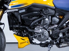 Ducati DUCATI MONSTER SENNA 