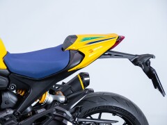 Ducati DUCATI MONSTER SENNA 